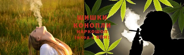 спайс Алзамай