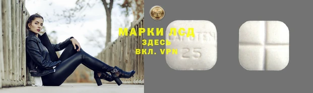 спайс Алзамай