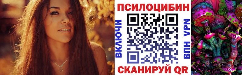 Галлюциногенные грибы Psilocybe Пыталово