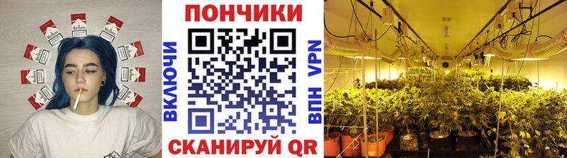 гидра зеркало  купить   Пыталово  Бошки Шишки LSD WEED 